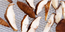 Produtos Shitake